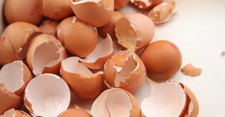 A pile of cracked brown egg shells, highlighting the topic of whether egg shells are good for dogs.