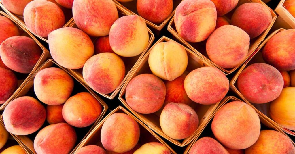 Are Peaches Good for Dogs 1