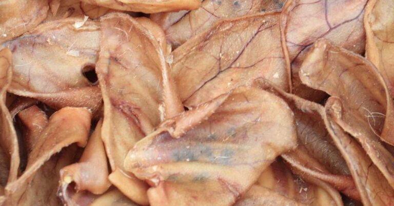 Dried pig ears displayed close-up, highlighting their texture and appearance as dog treats.