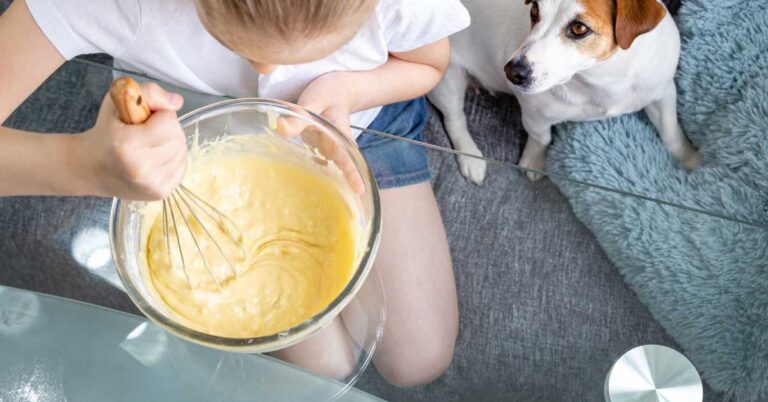 Child stirring baby food in a bowl with a curious dog watching from the floor.