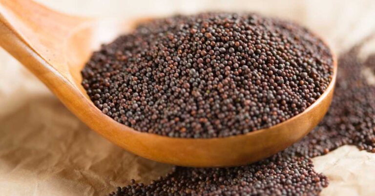 Close-up of a wooden spoon filled with mustard seeds, showcasing their texture and color.