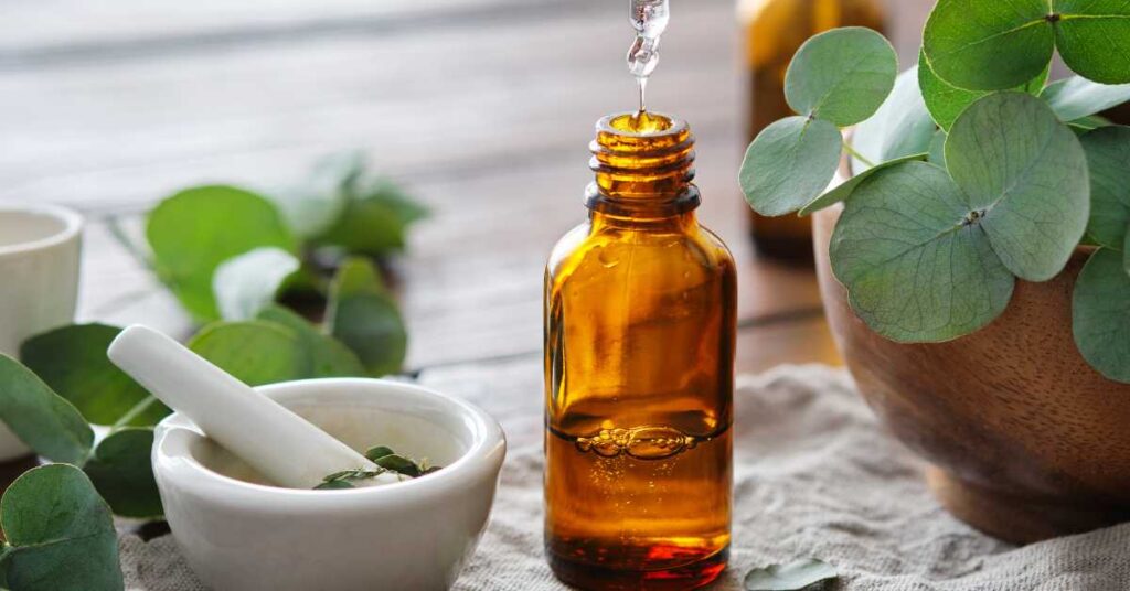 Is Eucalyptus Oil Safe for Dogs 1