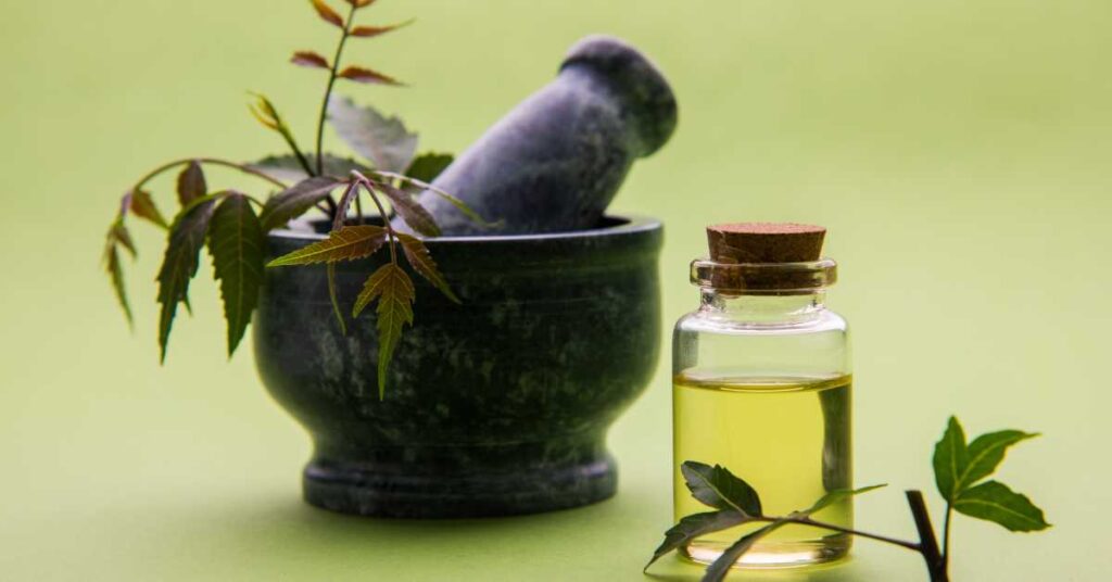 Is Neem Oil Safe for Dogs 1